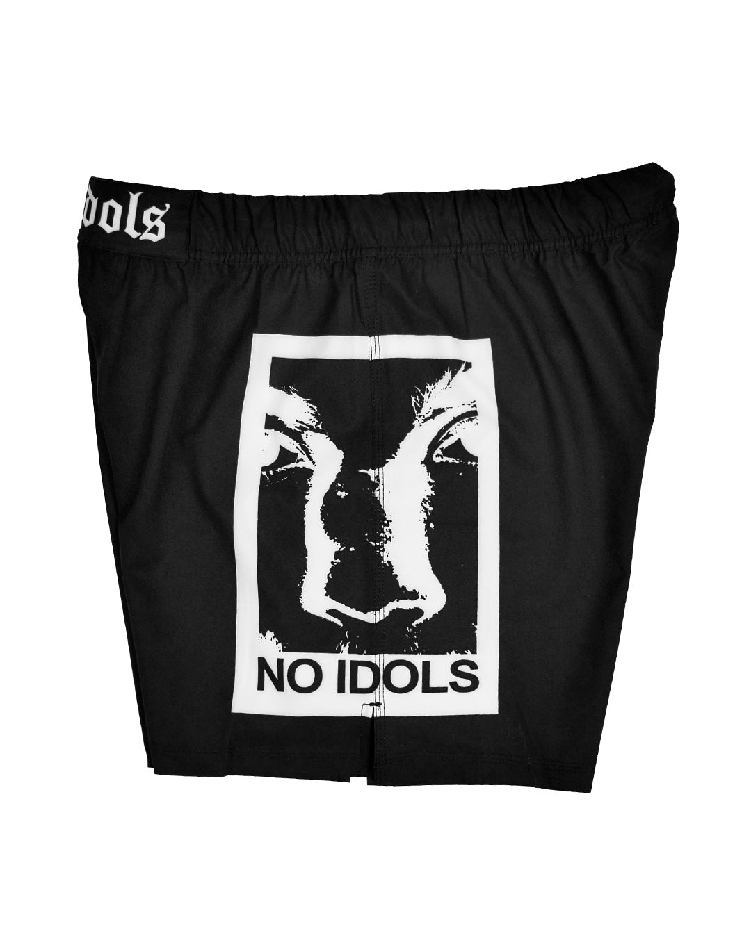 NO IDOLS Training Shorts