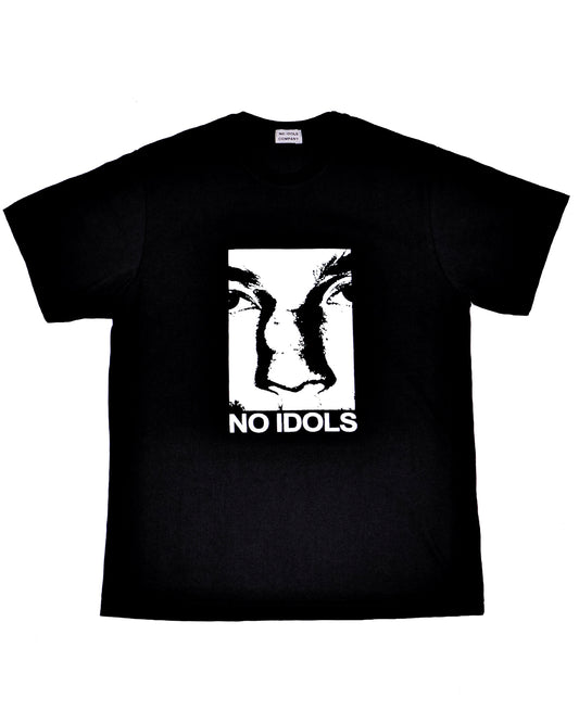 NO IDOLS